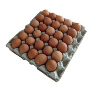 Eggs